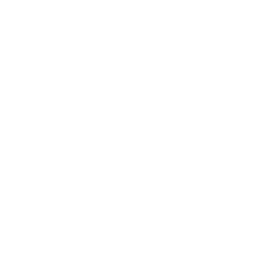 16-bcd travel