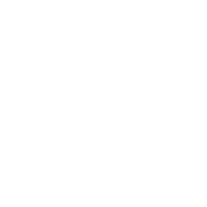 2-Coca Cola