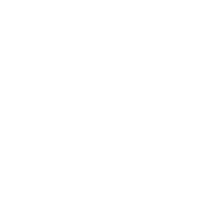 4-Udem